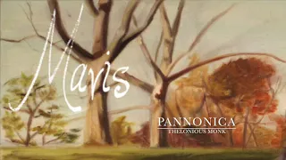 Pannonica - Thelonious Monk Cover