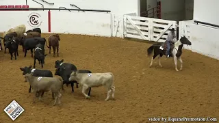 Introduction to Ranch Roping