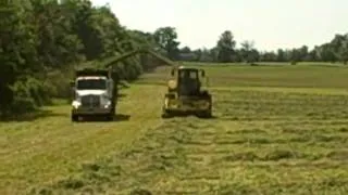 John Deere 6850 Chopping Haylage