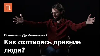 Охота и собирательство в палеолите — Станислав Дробышевский / ПостНаука