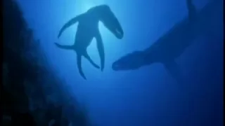 Megalodon vs Liopleurodon