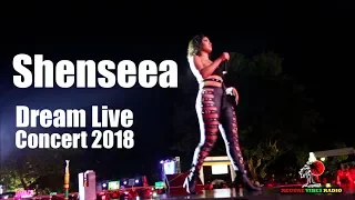 Shenseea Dream Live concert 2018  Dream weekend 2019 lineup in description