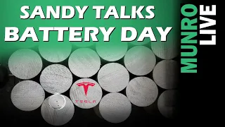 Sandy is Thrilled about Tesla's Battery Day & Begins Battery Mock-up