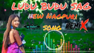 LUDU BUDU SAAG || NEW NAGPURI SONG || NEW NAGPURI REMIX || NEW NAGPURI DJ