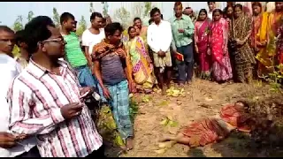 Marauding elephants kill two in Jhargram