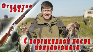 Открылся по утке с новым ружьем Ata Arms SP