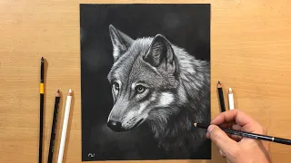 Drawing a Wolf in Black and White Charcoal