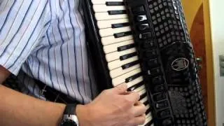 Somebody that i used to know, Gotye; Accordioncover