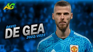 David de Gea ● The Loyal One ● Unreasonable saves 2022/2023 | HD