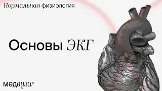 Основы ЭКГ | сегменты, интервалы и зубцы | Нормальная физиология