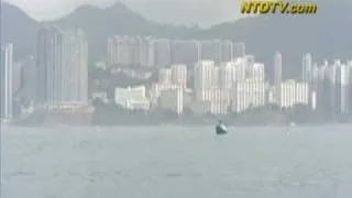 В прибрежных водах Гонконга появился кит