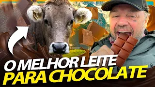 PARDO SUIÇO, A VACA QUE DA ORIGEM AOS CHOCOLATES MAIS GOSTOSOS DO MUNDO! | RICHARD RASMUSSEN