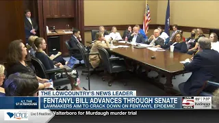 VIDEO: Legislation to criminalize fentanyl trafficking in SC advances at State House