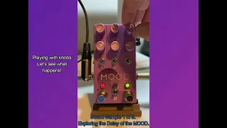 MOOD MKII Chase Bliss - First time user just turning it on, being surprised and finding new sounds!