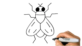 How to DRAW a FLY Easy Step by Step Drawing Insects