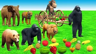 Wild Animals Learn Fruits with Wooden Cart Toys | Gorilla and Zoo Animals