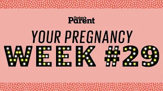 Your pregnancy: 29 weeks