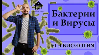 БАКТЕРИИ И ВИРУСЫ для ЕГЭ |ЕГЭ БИОЛОГИЯ|Freedom|