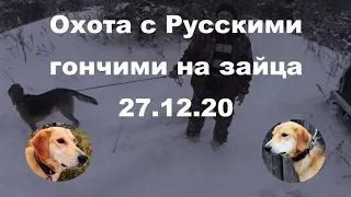 Охота с Русскими гончими на зайца 27 12 20