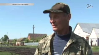 Обитатели Волжско-Камского заповедника пострадали от урагана