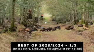 BEST OF 2023/2024 - CHASSE AUX CERFS, SANGLIERS, CHEVREUILS ET PETIT GIBIER - 1/3