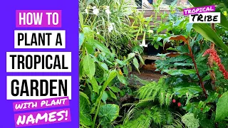 How to plant a tropical style garden | Tropical Tribe August garden tour