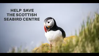 Creature Candy's Crowdfunding Campaign To Help Save The Scottish Seabird Centre