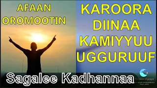 Karoora diinaa kamiyyuu ugguruuf kadhannaa humna guddaa qabu | Kadhannaa Eegumsaa