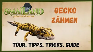 🦗 SMALLAND Surive the Wilds 🦗  Gecko  Zähmen 2023 [/Taming/INFO/ GUIDE/Deutsch/ Tiere zähmen ]