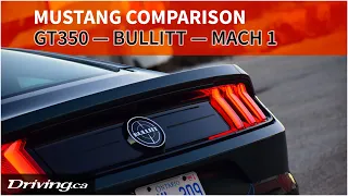 GT350, Bullitt, Mach 1: Where these 3 Mustangs overlap on equipment (and price) | Driving.ca