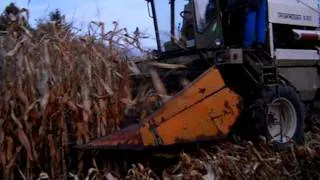 Fortschritt E514 kukorica aratás