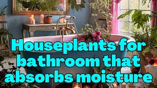 Top 10 houseplants for bathroom that absorbs moisture | Perfect indoor plants for bathroom