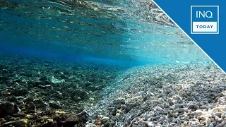 China refutes WPS reef damage: ‘No factual basis’ | INQToday