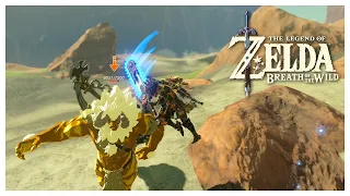 Gold Lynel Speedkill 4.83 Seconds