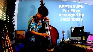 Fur Elise - Beethoven - Double Bass Solo(Latin Style) by Jazzinbass, 최진배