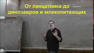 Еськов Эволюция Лекция4 От ланцетника до динозавров и млекопитающих