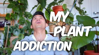 HOW MY PLANT ADDICTION STARTED | PLANT TALKS