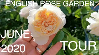 ROSE GARDEN TOUR | June Is All About Roses..