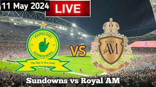 Mamelodi Sundowns Vs Royal AM Live Match Today