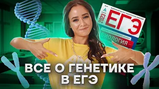 Все о генетике в ЕГЭ: 4 и самые сложные типы 29 задачи | Биология ЕГЭ 2023 | Умскул