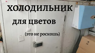 Обзор холодильника. Без него в цветах никак