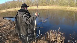 ŽIOBRIŲ ŽVEJYBA NEMUNĖLYJE PAVASARĮ! |ŽVEJO SVAJONĖ