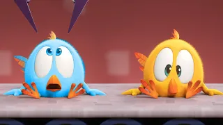 Where's Chicky? Funny Chicky 2023 | THE FACTORY | Cartoon in English for Kids | New episodes