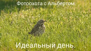 Фотоохота с Альбертом.  Идеальный день