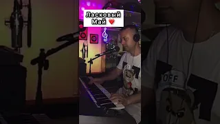 Ласковый Май ❤️ Великолепное исполнение...