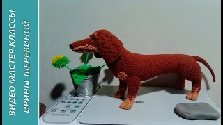 Такса - охотничья собака! ,ч.2. Dachshund is ahunting dog!, р.2. Amigurumi. Игрушки крючком.