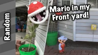 Mario in my Front Yard!