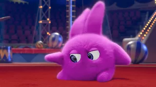 Sunny Bunnies | Hopper the Pink Starfish | COMPILATION | Videos For Kids