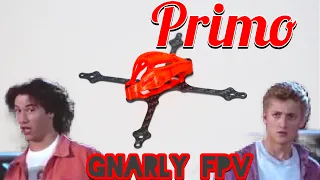 Gnarly FPV Primo micro drone Frame