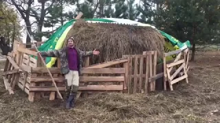 А я в деревне, на своей ферме 🏡 🐑🐐🐔🐖🐇🦆#кавермен